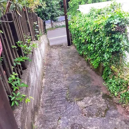 Diana Country House Pelion 別荘 *
